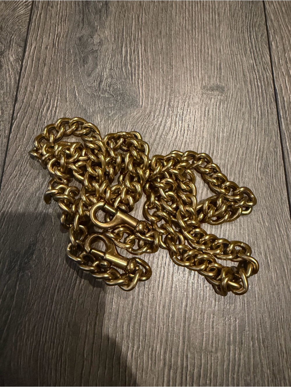 coach gold/brass chain strap - 4ft long